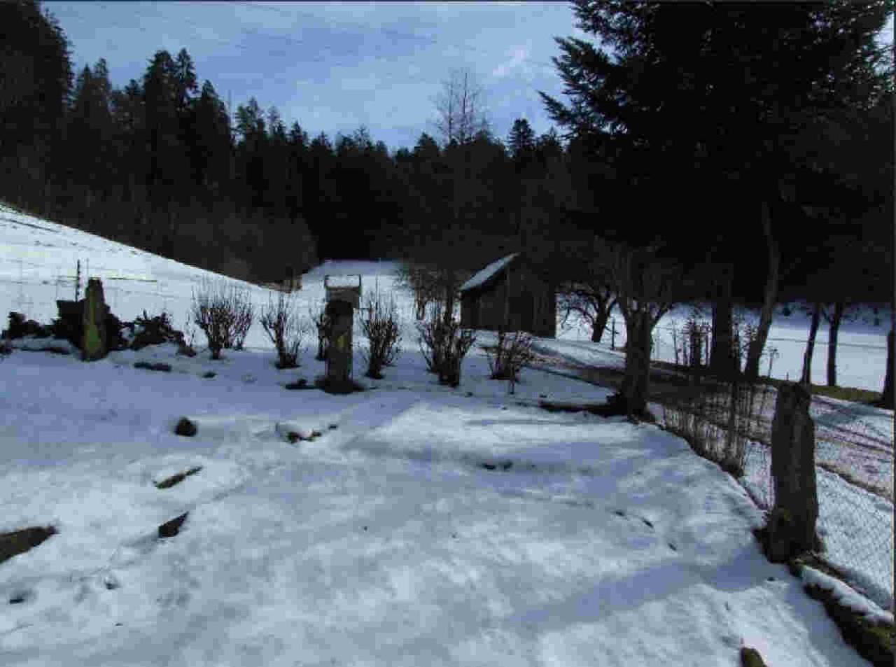 Ferienhaus Schwarzwald Seewald Erzgrube Badesee 100% Natur Eksteriør bilde