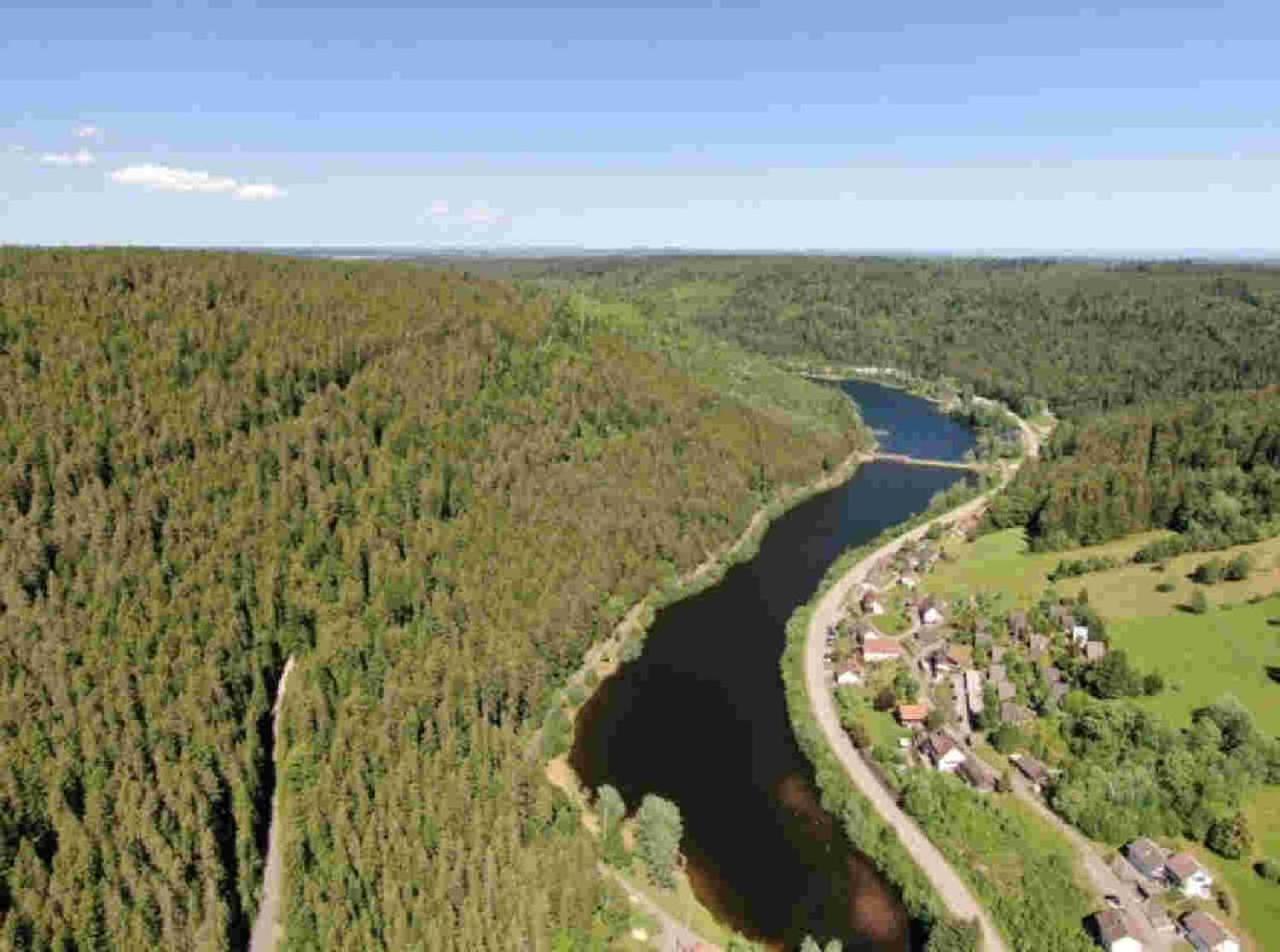 Ferienhaus Schwarzwald Seewald Erzgrube Badesee 100% Natur Eksteriør bilde