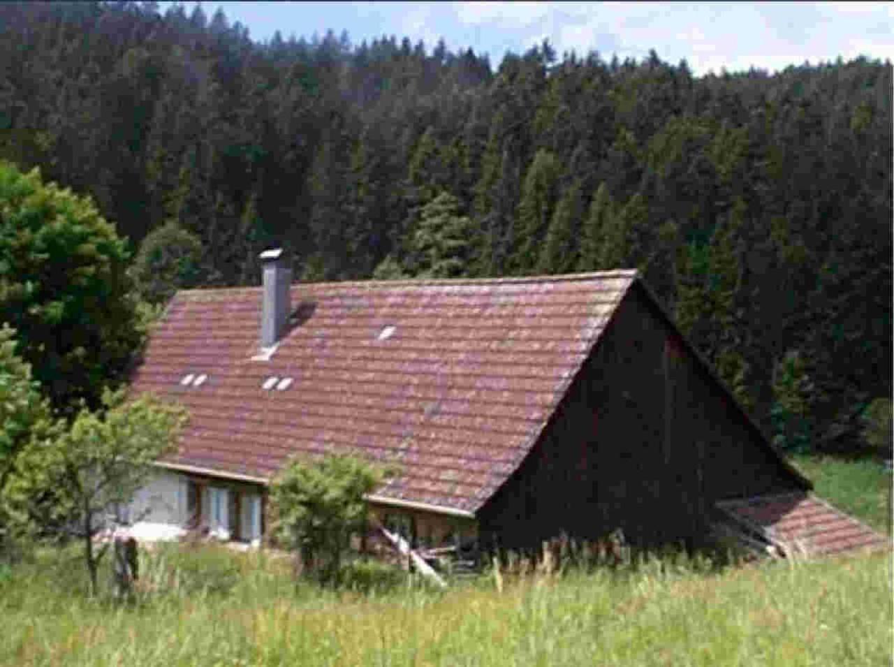 Ferienhaus Schwarzwald Seewald Erzgrube Badesee 100% Natur Eksteriør bilde